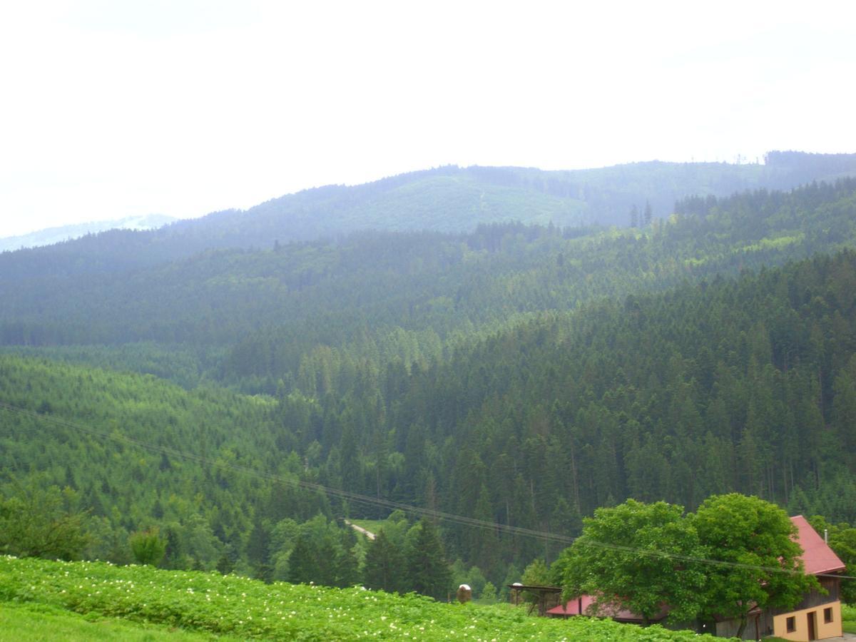 Domek U Malysza Istebna Exterior foto